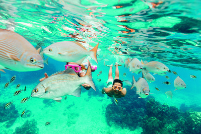 Caribe